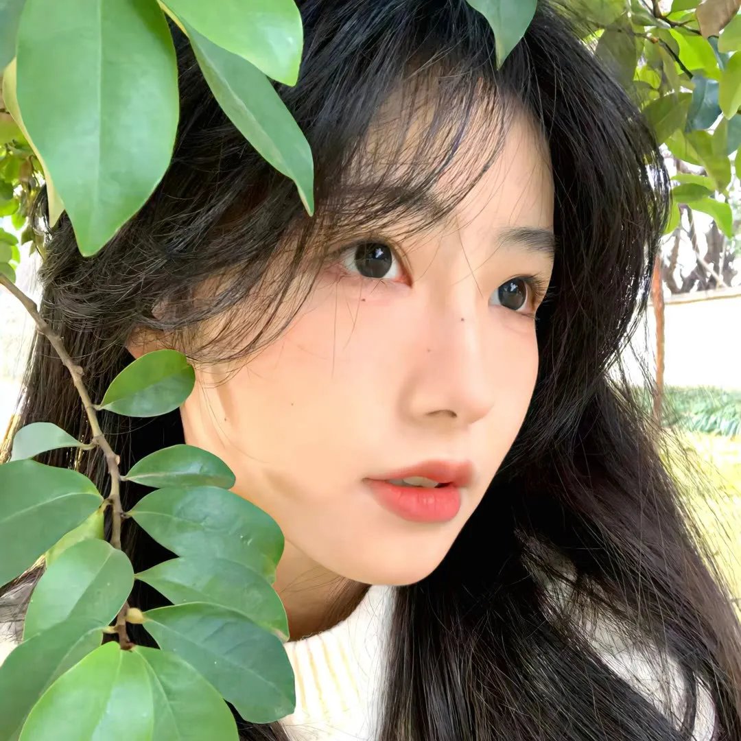 森林的终点是海